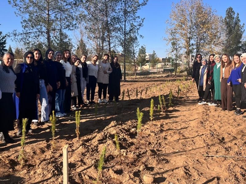 Diyarbakır'da Şiddet Kurbanı Kadınlar Anısına Hatıra Ormanı (2)