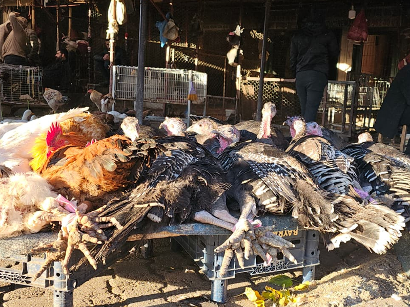 Diyarbakır’da Yılbaşı Öncesi Hindi Pazarı Hareketliliğ2