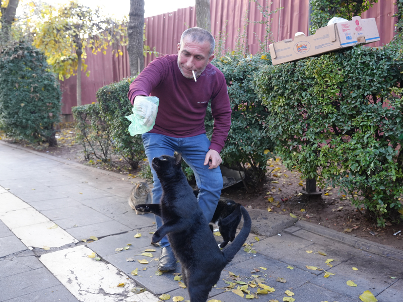 Diyarbakır’daki Çaycı 30 Yıldır Çalıştığı Duraktaki Kedileri Besliyor3