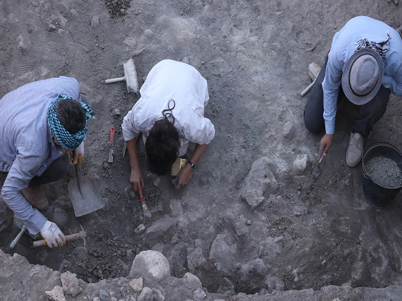Diyarbakır’daki Gre Filla Kazısına Uluslararası Ödül2
