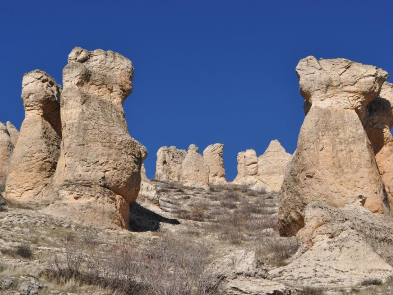 Adsız Tasarım 2026 01 18T135923.294