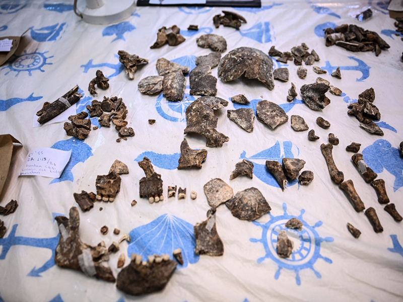 Diyarbakır Çayönü’nde Binlerce Yıllık Toplumsal Yapı Inceleniyor1