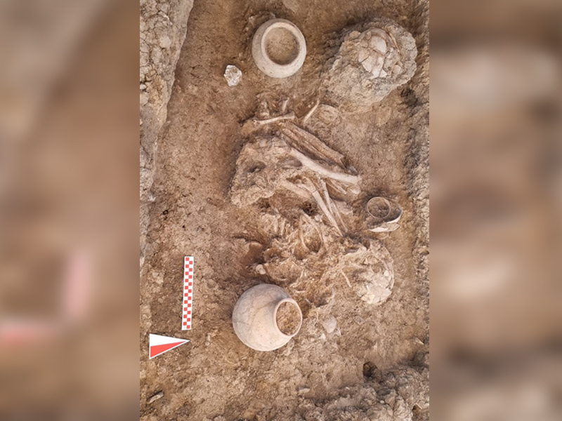 Diyarbakır Çayönü’nde Binlerce Yıllık Toplumsal Yapı Inceleniyor3