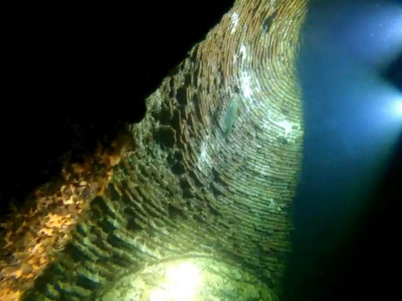 Diyarbakır’da Sular Altındaki Tarih Gün Yüzüne Çıktı (2)