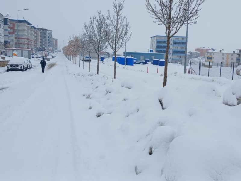 Diyarbakır’da Yoğun Kar Yağışı Hayatı Durdurdu (1)