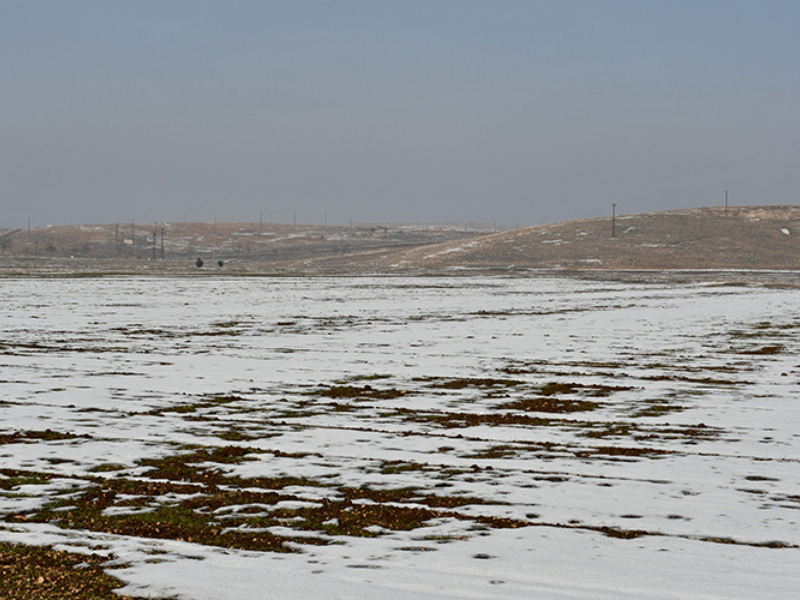 Kar Yağışı Güneydoğu’da Çiftçiye Umut Oldu (3)