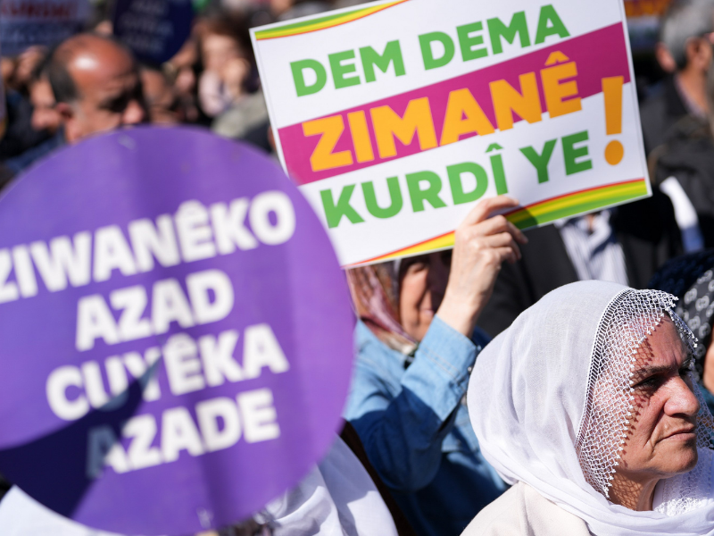 Diyarbakır’da Dünya Anadil Günü Yürüyüşü (3)