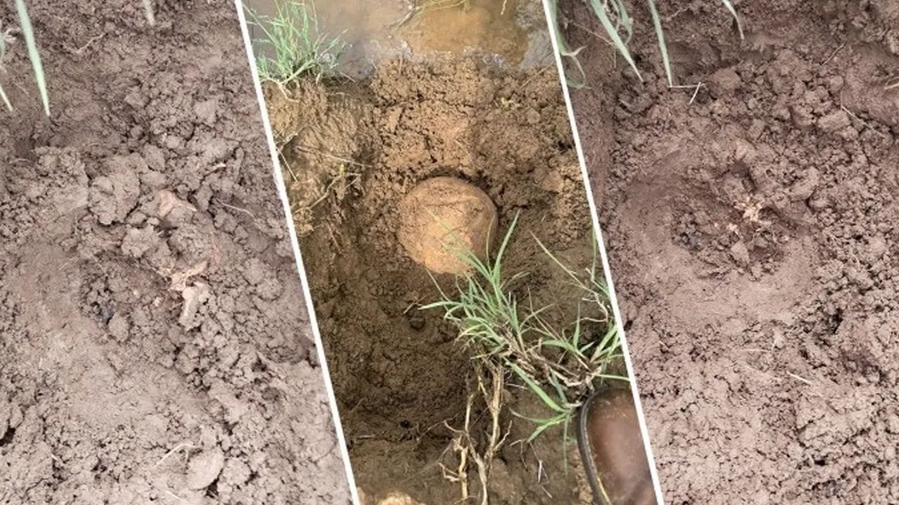 Lice'de bulunan kemiklerle ilgili yeni gelişme: Kime ait olduğu belirlendi