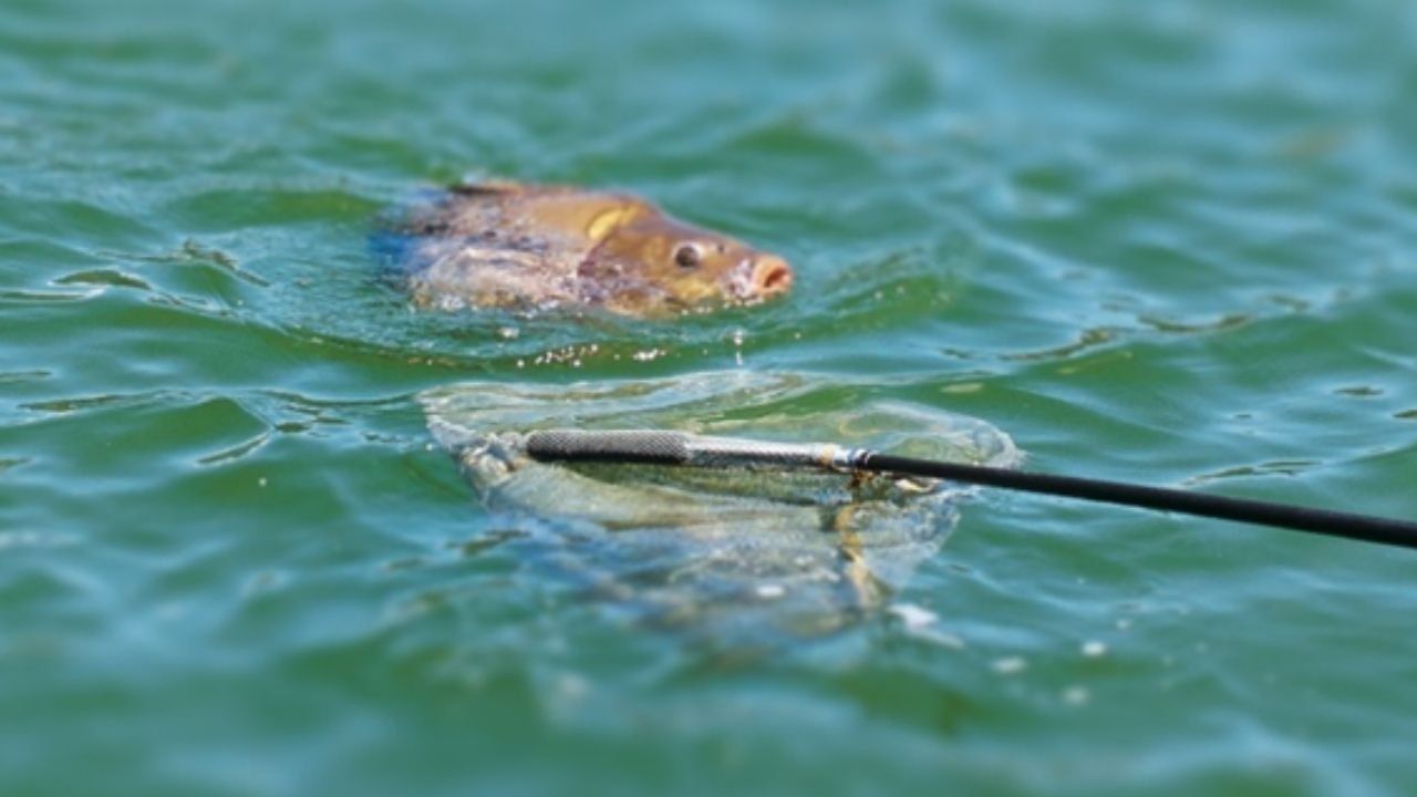 Diyarbakır'da tarih belirlendi: 3 ay boyunca yapılamayacak