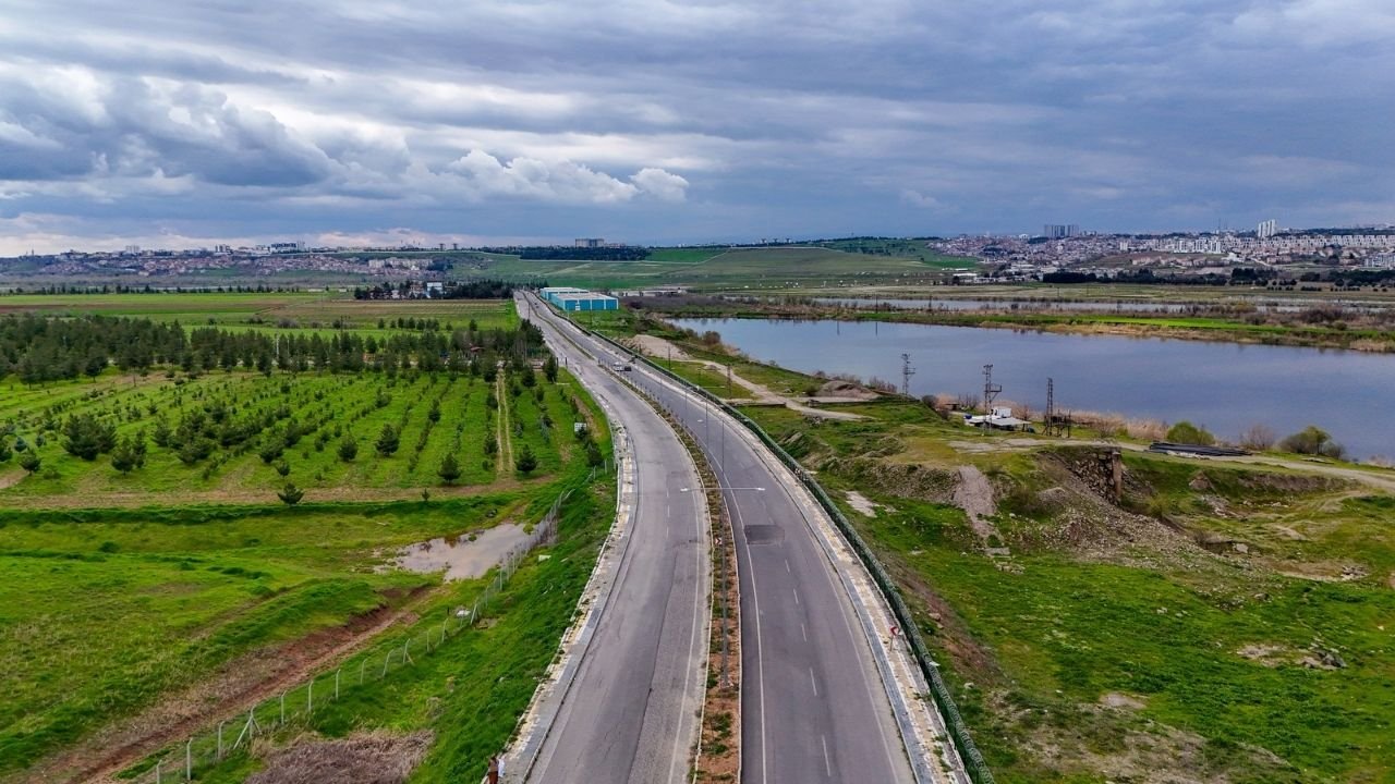 Diyarbakır'ın her tarafı yemyeşil oldu: Binlerce ağaç dikildi