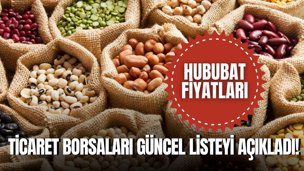 Güncel Hububat Fiyatları 2024: Ticaret Borsaları Açıkladı!