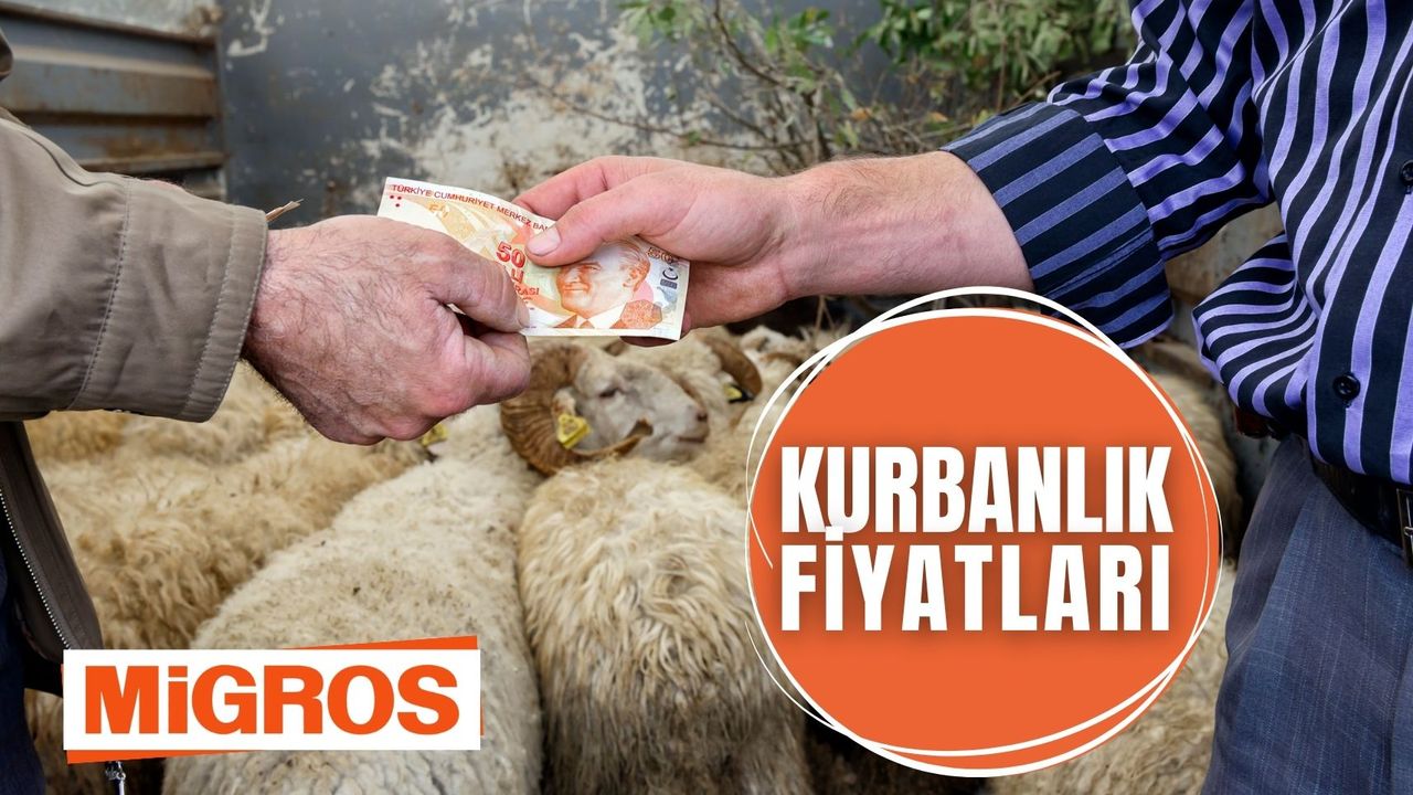 Migros Kurbanlık Fiyatları 2024: Büyükbaş ve Küçükbaş Fiyat Listesi