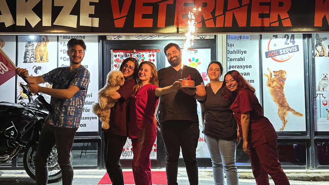 Diyarbakır'da kedi ve köpek iç dış parazit kampanyası yaptı
