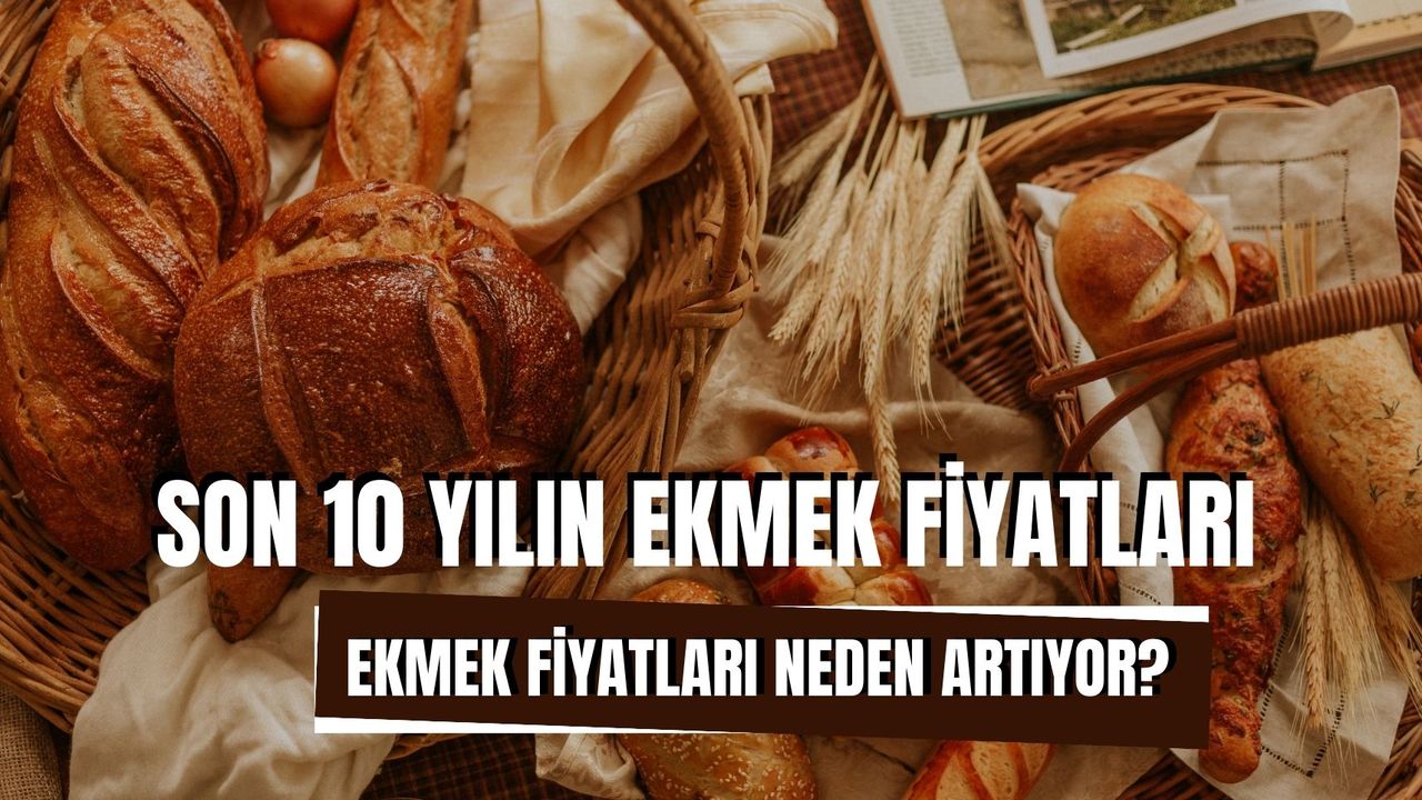 Yıllara Göre Ekmek Fiyatları: 10 Yılda Ne Kadar Değişti?