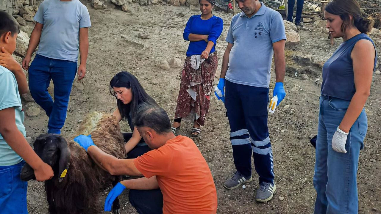 Adıyaman’dan Diyarbakır ve Mardin’e destek!