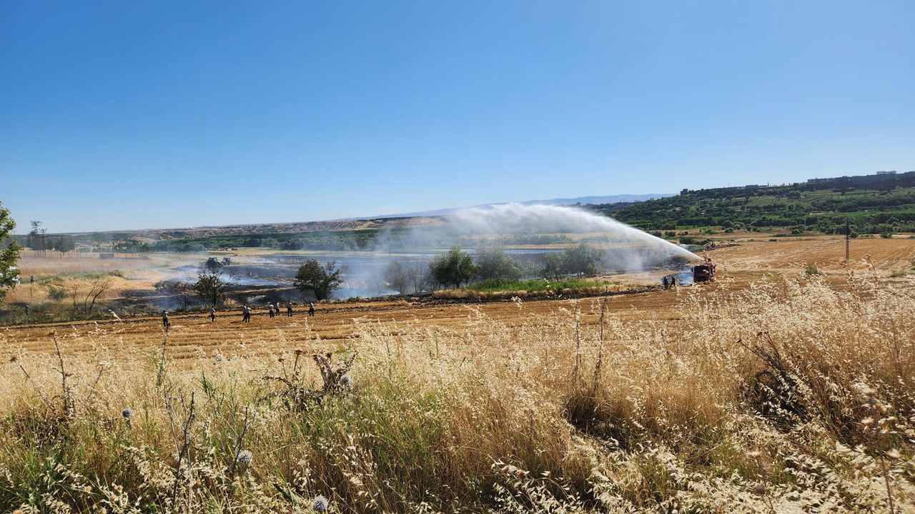 Dicle Üniversitesi yerleşkesinde korkutan yangın!