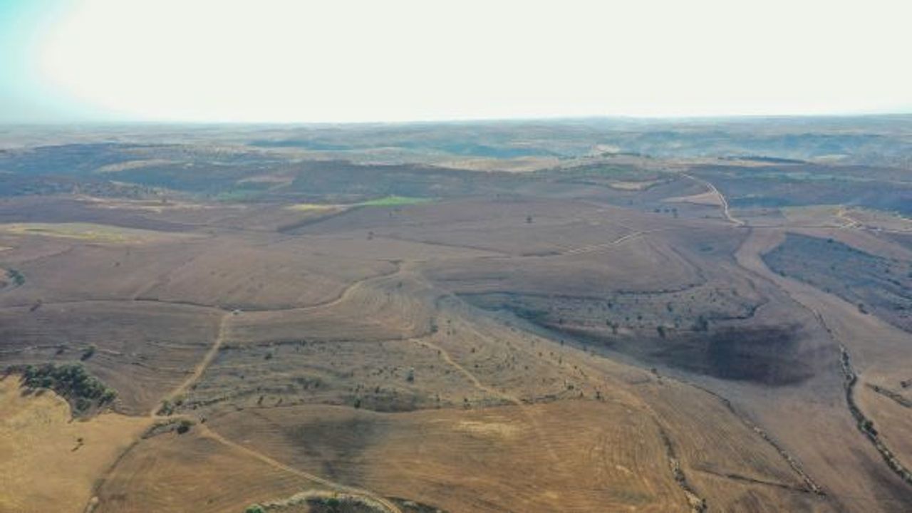 Diyarbakır ve Mardin’deki yangın kontrol altına alındı