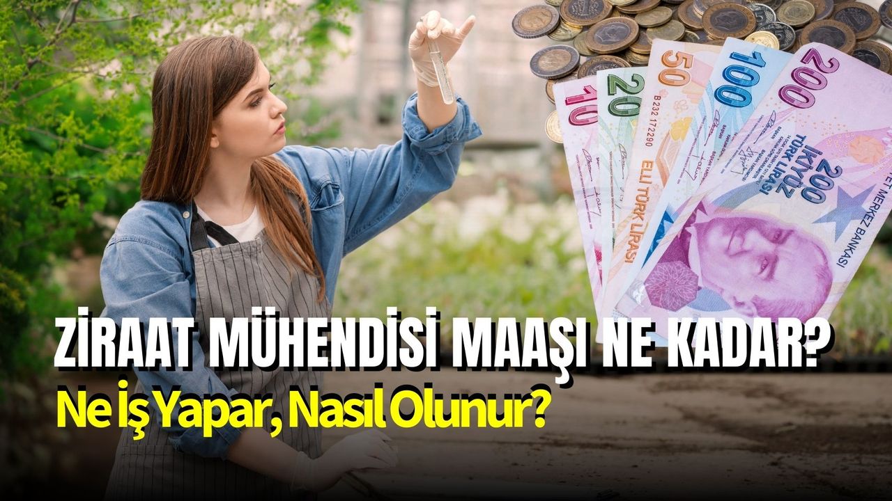 Ziraat Mühendisi Maaşı Ne Kadar? Nasıl Olunur, Ne İş Yapar?