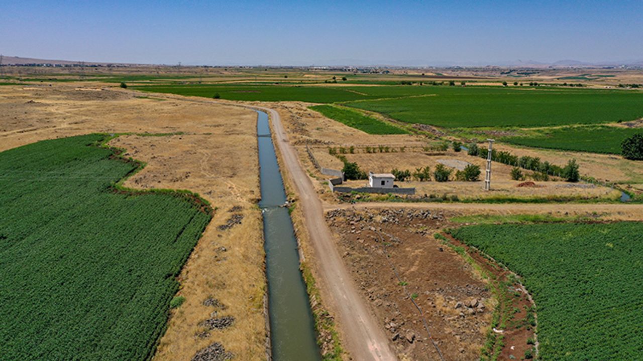 Diyarbakır'daki Devegeçidi Barajı, tarım ve doğal yaşamı yeniden canlandırdı