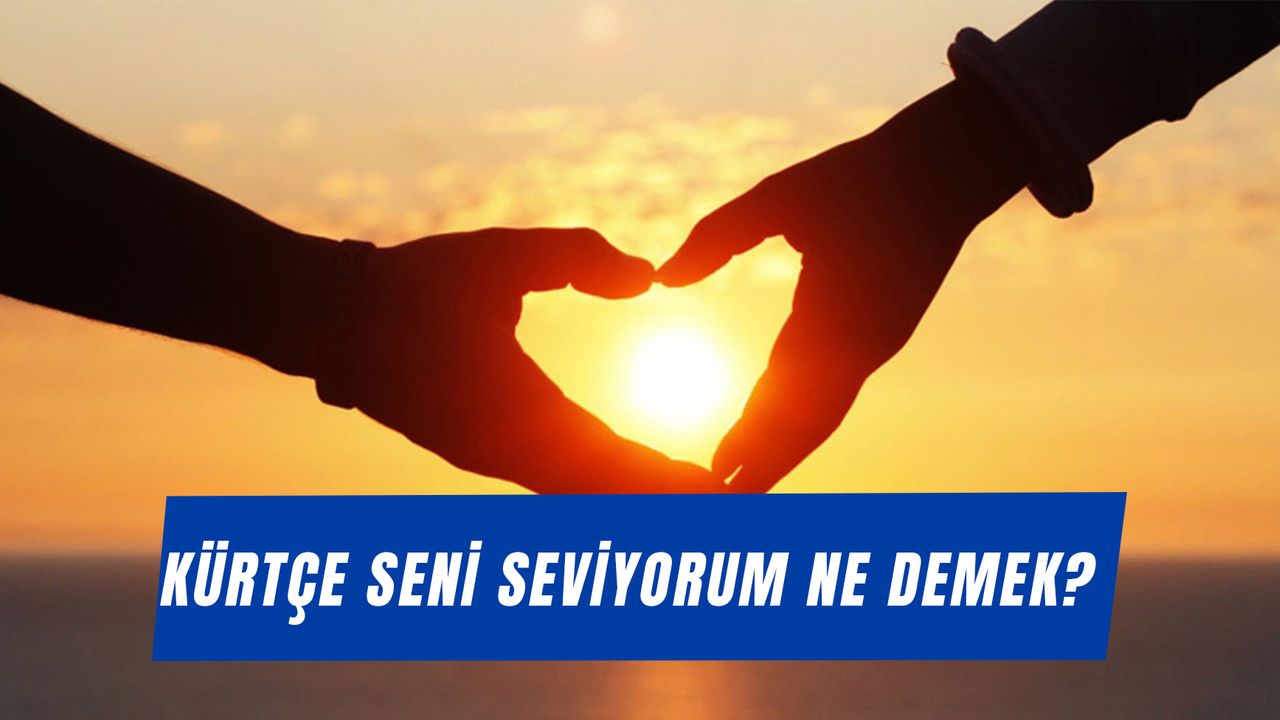 Kürtçe Seni Seviyorum Ne Demek? Kürtçe Yazılışı ve Okunuşu…