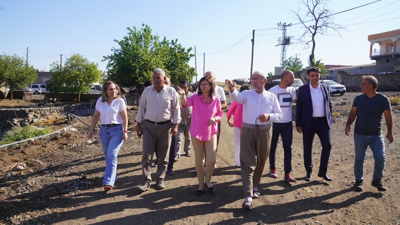 DBB Eş Başkanı Bucak: Kayyımın derdi yol yapmak değil, ihale almak
