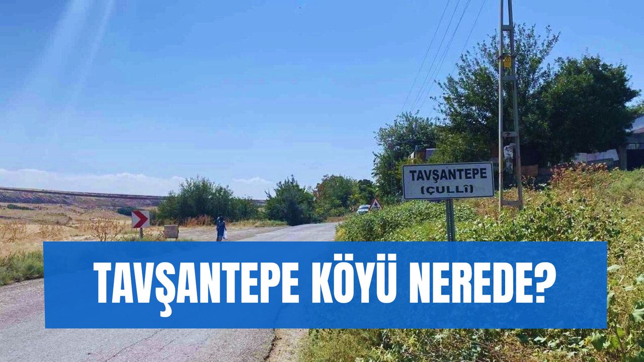 Diyarbakır Tavşantepe Köyü Nerede? Tavşantepe Köyü Hakkında Bilgiler