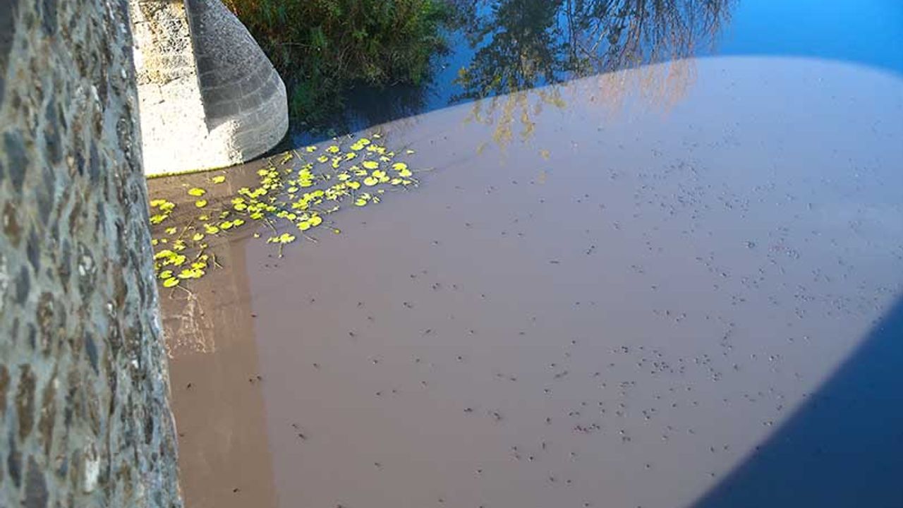 Diyarbakır'da dere kirliliği üzerine inceleme başlatıldı