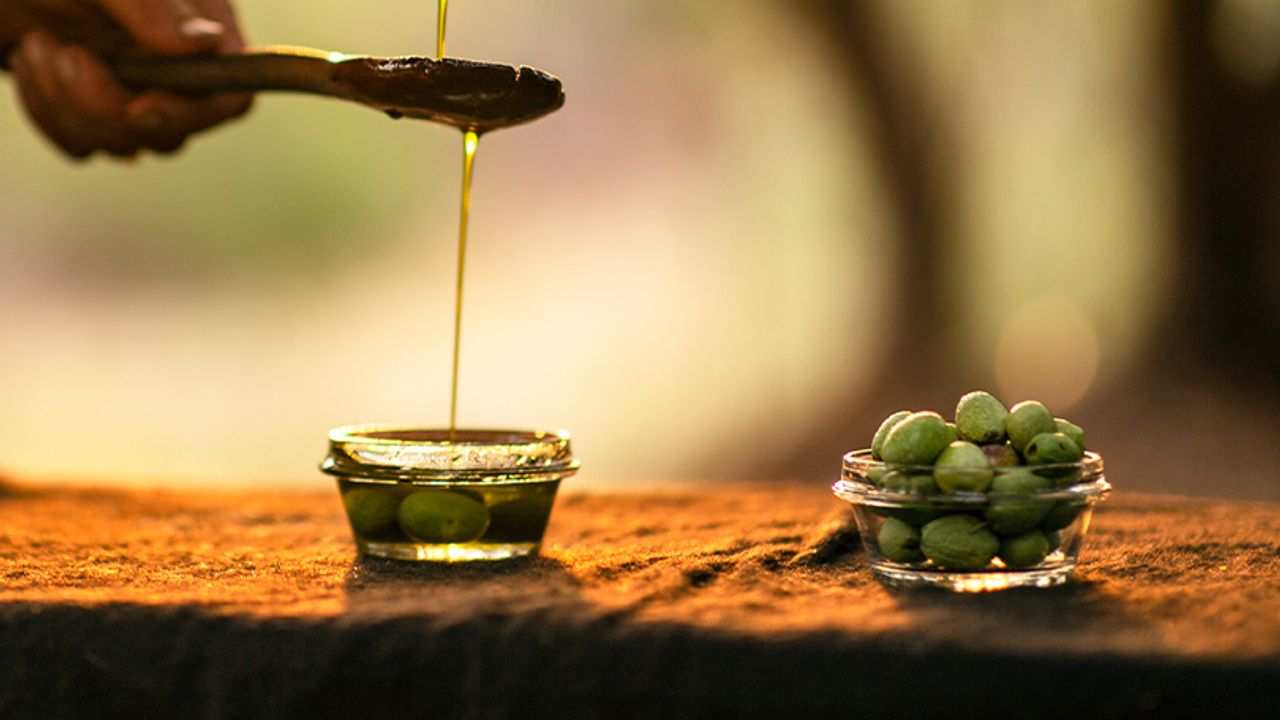 Mardin zeytin hasadı başladı