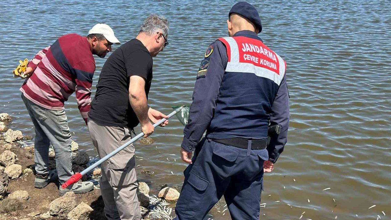 Diyarbakır'da balık ölümleri nedeniyle inceleme başlatıldı
