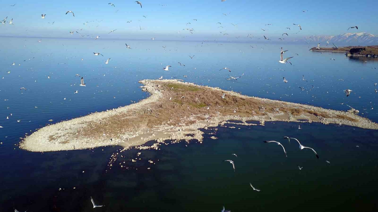 Bitlis’te göllerde su seviyesi kritik düzeye düştü