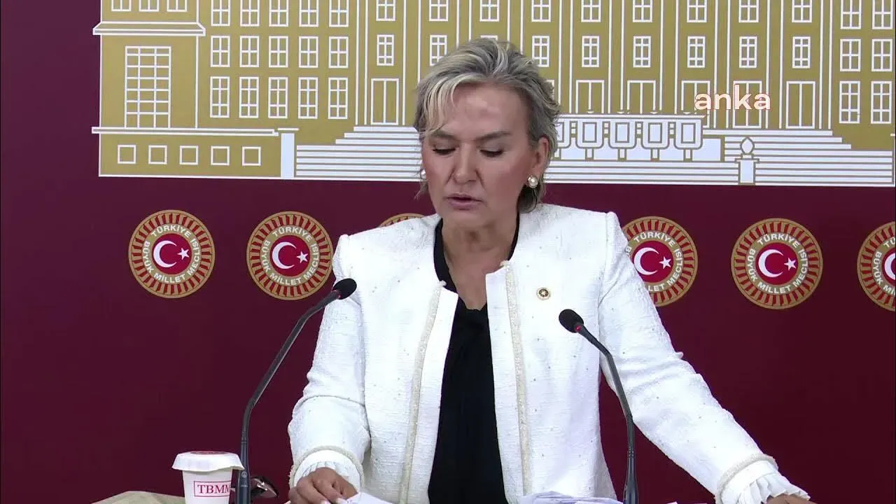 CHP, hayvanlar için komisyon kurdu