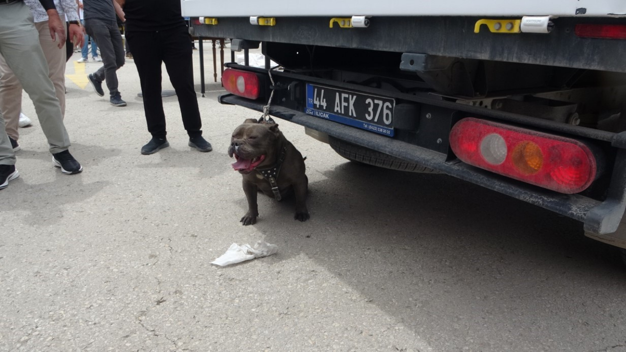 Malatya’da alışveriş merkezi otoparkında pitbull saldırısı