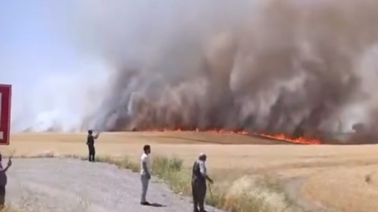 Diyarbakır’da tarım arazisinde yangın çıktı!