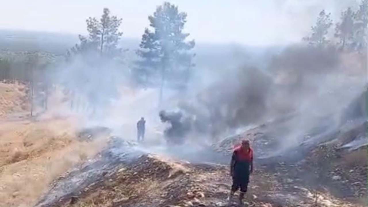 Şanlıurfa’da sigara izmaritleri yangına neden oldu