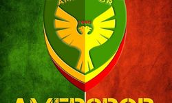 Amedspor'dan kritik çağrı