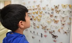 Diyarbakır’da 10 bin çocuk Zooloji Müzesi’ni ziyaret etti