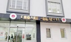 Diyarbakır'ın Ergani ilçesine  yeni ağır ceza mahkemesi kuruldu