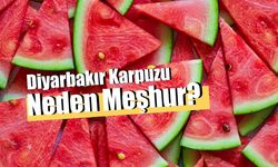 Diyarbakır Karpuzu: En Lezzetli Karpuz Hangisi Tartışmalarının Cevabı!