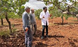 Şanlıurfa'da ziraat mühendisleri sahaya indi