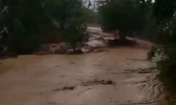 Elazığ’da sağanak yağış etkili oldu