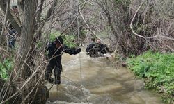 Gevaş'ta dereye düşen kız çocuğu hayatını kaybetti