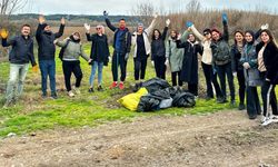 Gönüllü vatandaşlar Hevsel Bahçeleri'nde temizlik yaptı