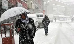 Hakkari'de okullar bir gün süreyle tatil edildi