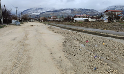 Lice'de bozuk yollar vatandaşı çileden çıkardı