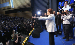 Meral Akşener kimdir, kaç yaşında hayatı ve biyografisi Siyasi Kariyeri ve İYİ Parti'nin Kurucusu