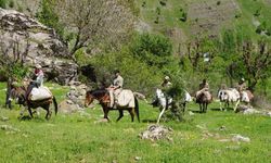 Şırnak dağlarında yetişen otlar adeta şifa deposu