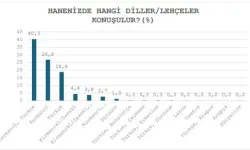 Türkiye'de 5 kişiden 1'i Türkçe dışında anadili bilmiyor