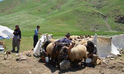 Göçerler Faraşin yaylasına ulaştı