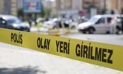 Erciş'te cinayet şoku: Yol kenarında ölü bulundu
