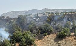 Diyarbakır'da 10 hektarlık alanda yangın çıktı